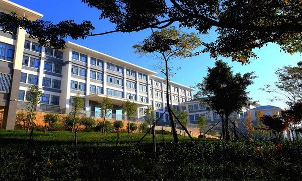 学校网站建设